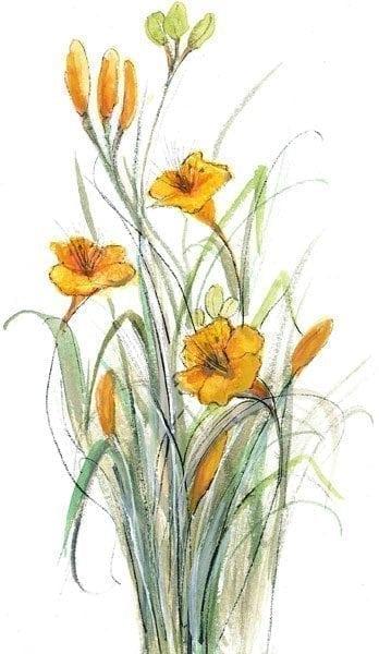 CanadaGooseGallery-Waynesville-Ohio-pbuckleymoss-limitededition-print-flower-floral-lily