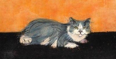 Features a gray and white cat with an orange background.