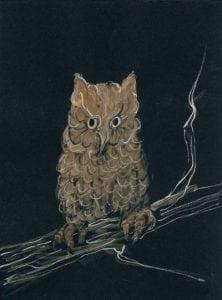 pbuckleymoss-print-giclee-print-owl