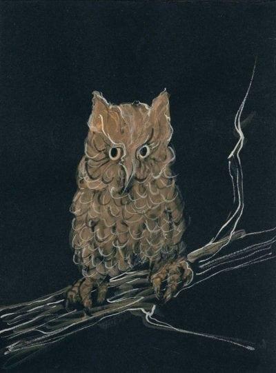 Night Owl pbuckleymoss-print-giclee-print-owl