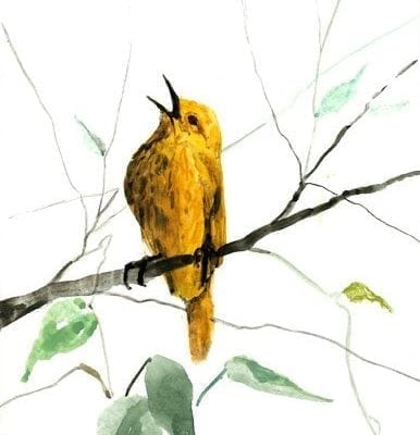 Singing to the Heavens limited edition print by P Buckley Moss features a small yellow bird singing from his perch on a branch with leaves.