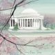 Cherry Blossom Spring limited edition print by P Buckley Moss features the Jefferson Memorial in colors of soft green, pink, white, black and aqua.