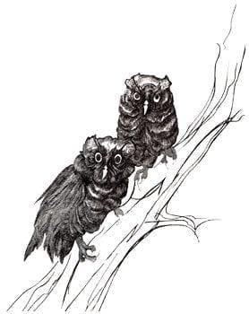 Twins Etching signed and numbered limited edition print by P Buckley Moss at Canada Goose Gallery in Waynesville, Ohio CanadaGooseGallery-WaynesvilleOhio-pbuckleymoss-etching-limitededition-owl