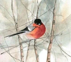 Sage-Homedecor-pbuckleymoss-bird-robin-sage-color