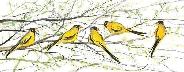Bird-yellowbird-nature-interiordesign-pbuckleymoss-art-limitededition-prints-giclee