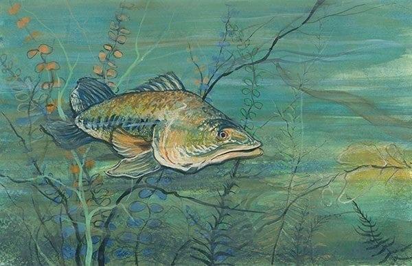 Lurking in the Depths limited edition print by P Buckley Moss features and underwater scene with large fish swimming though the sea. Colors are a combination of greens, aqua, blue, tans, splash of gold and earth tones. 