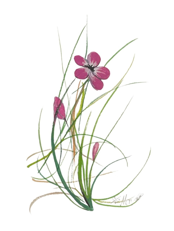 sign-of-spring-flower-limited-edition-print-p-buckley-moss