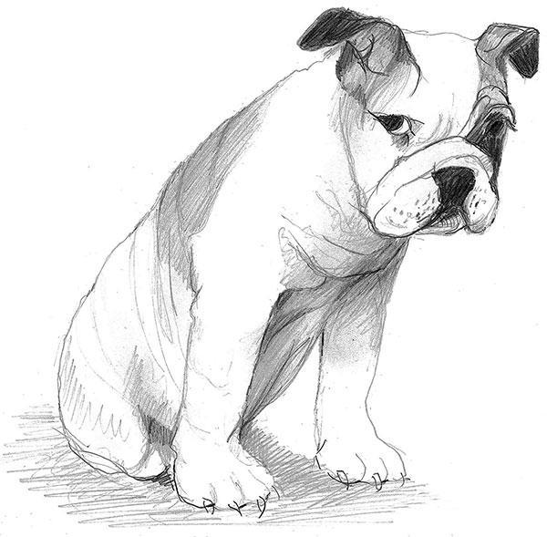 You Promised limited edition print by P Buckley Moss features a sweet dog that seems to be pouting. Colors are shades of gray and black in this sketch.