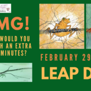 Leap Day graphic featuring the frog images of P Buckley Moss.