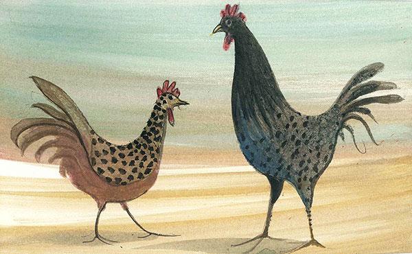 barnyard-talk-rooster-chicken