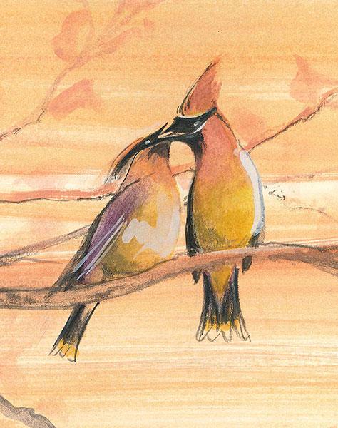 Spring Courting