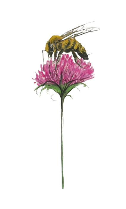 abuzz-in-the-clover-bee-flower-limited-edition-print-p-buckley-moss