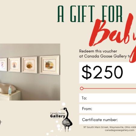 $250-Baby-Gift-Certificate
