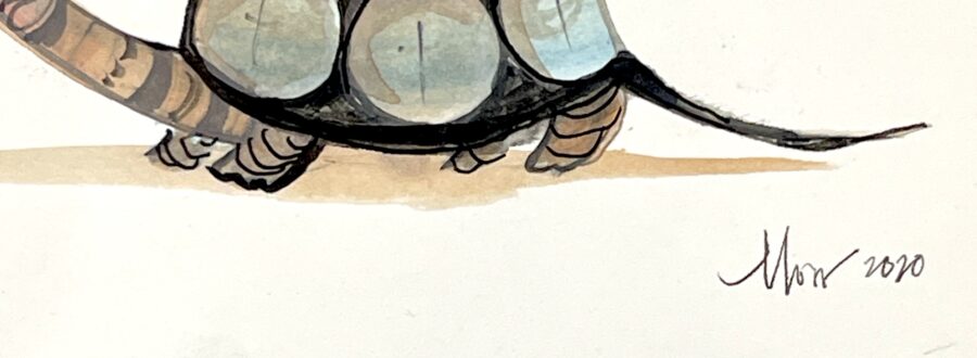 Colorful Turtle Painting Signature