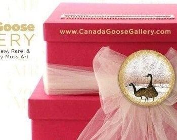 Loves Duet Gift Wrap Ideas