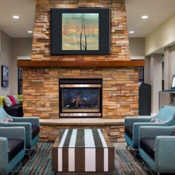 Trees At Twilight Living Space