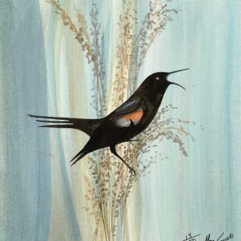 Birds-epaulet-song-p-buckley-moss-limited-edition-print-New