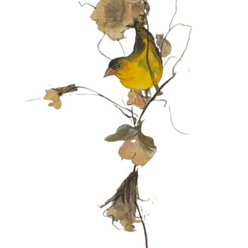 perfect-perch-bird-flower-limited-edition-print-p-buckley-moss