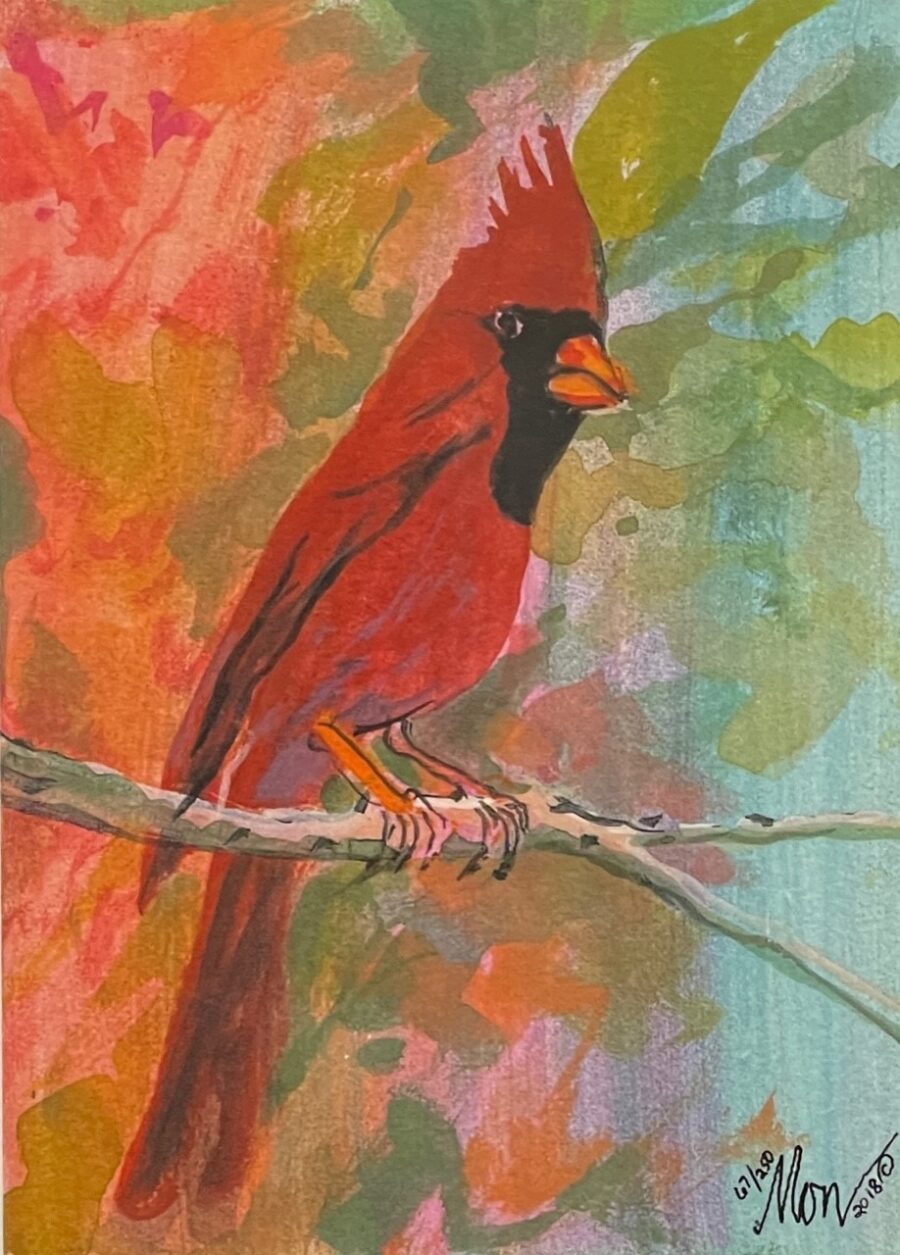 Scarlet Visitor