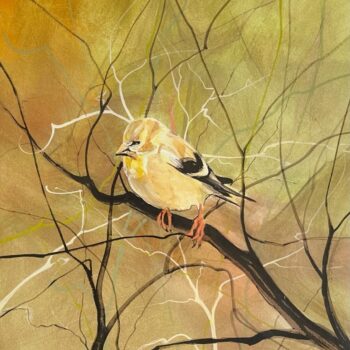 bird-the-goldfinch-limited-edition-print-p-buckley-moss