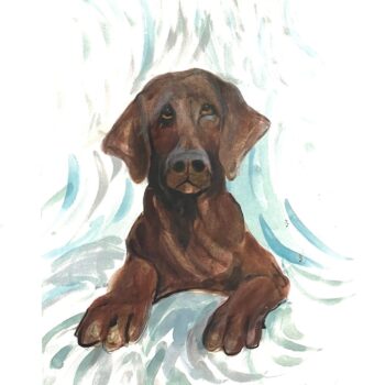 chocolate-lab-dog-limited-edition-print-p-buckley-moss