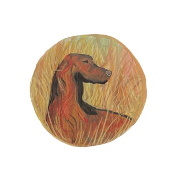 dog-irish-setter-limited-edition-print-p-buckley-moss