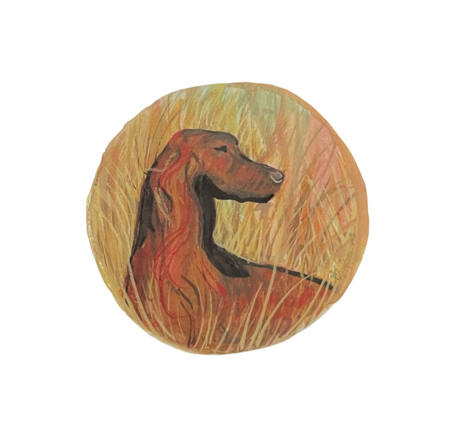 Irish Setter