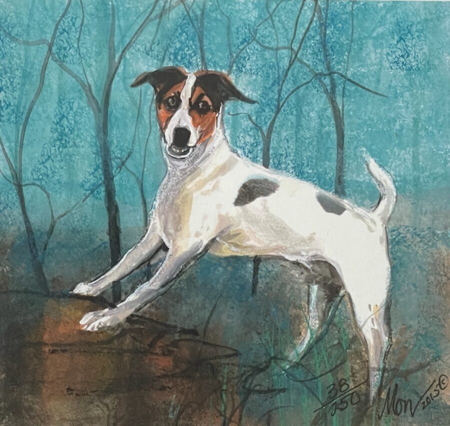 Jack Russell Terrier