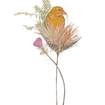 nesting-time-bird-flower-limited-edition-print-p-buckley-moss