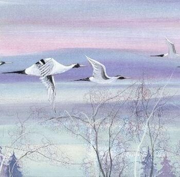 CanadaGooseGallery-Waynesville-Ohio-geese-goose-pbuckleymoss-print-limitededition-art