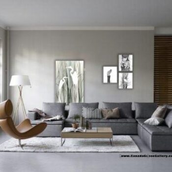 Pelican Roost Living Space