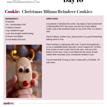 CanadaGooseGallery-WaynesvilleOhio-cookie-recipe-baking-cooking-Christmas-TwelveDays