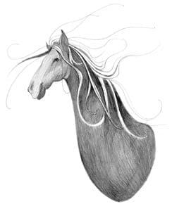 Wild as the Wind limited edition print by P Buckley Moss features a sketch of a horse in shades of grays highlighted with white.