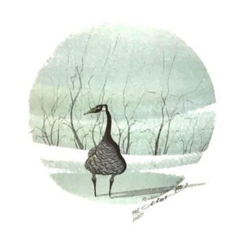 goose-art-PBuckleyMoss-art-print