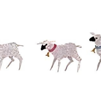 Five Lambs - Rare Art