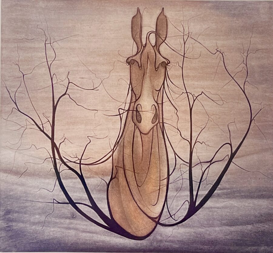Equus 2