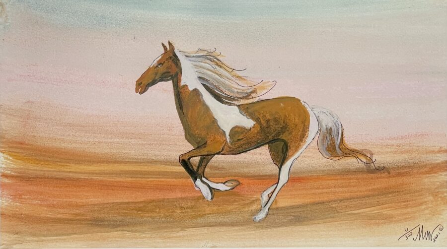 Paint the Wind