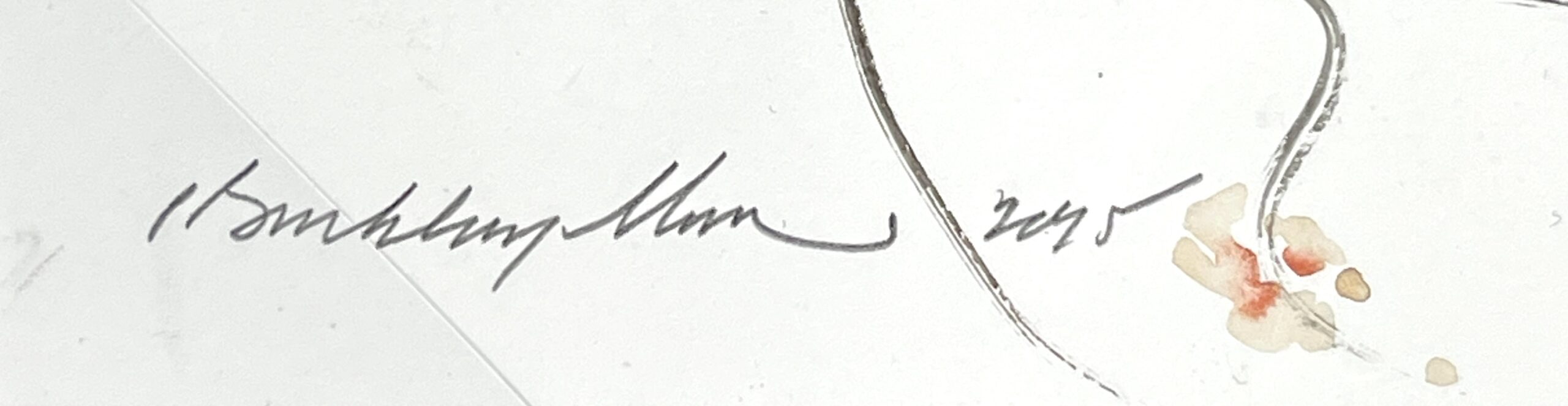 A Due Painting signature