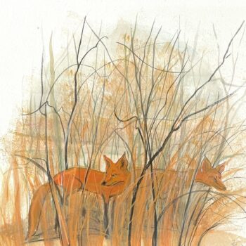 Little Foxes of Delaware County by P. Buckley Moss showing two foxes hidden among tall grasses and brush.