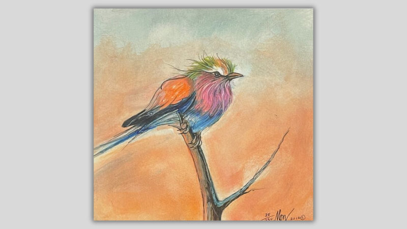 Birds of Hope in the curated P. Buckley Moss collections